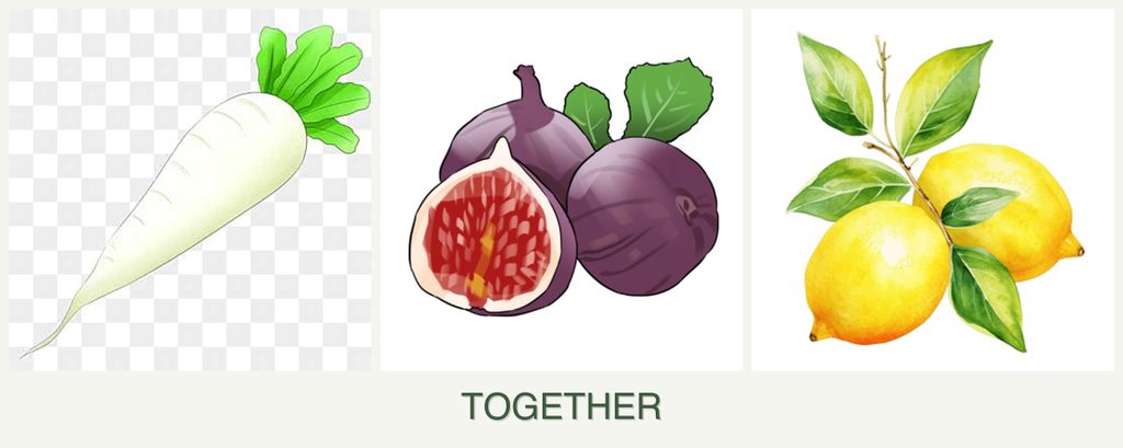 Can you plant radishes, figs and lemons together?