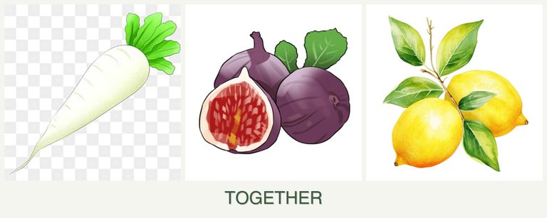 Can you plant radishes, figs and lemons together?