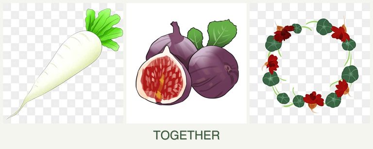 Can you plant radishes, figs and nasturtiums together?