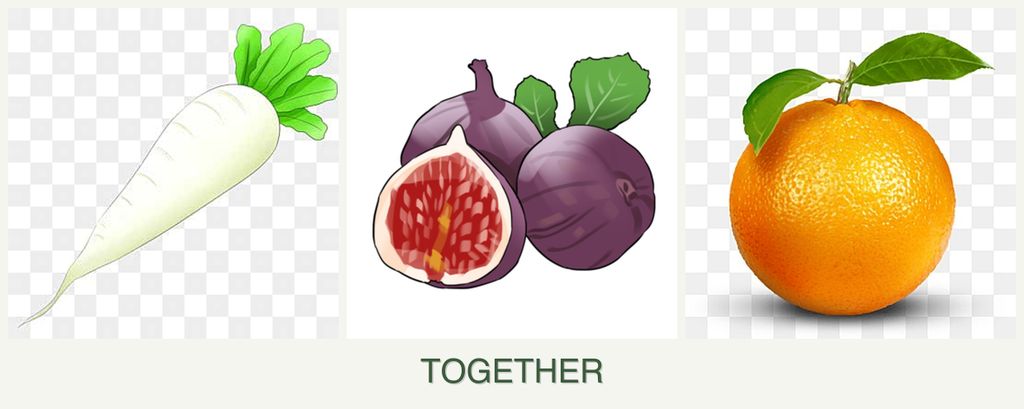 Can you plant radishes, figs and oranges together?