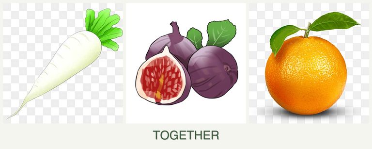 Can you plant radishes, figs and oranges together?