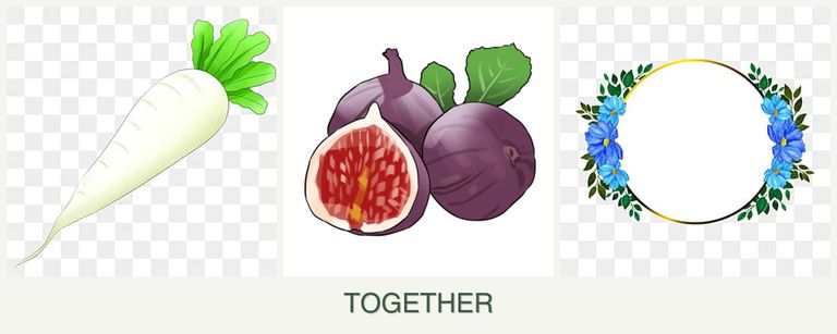 Can you plant radishes, figs and zinnias together?