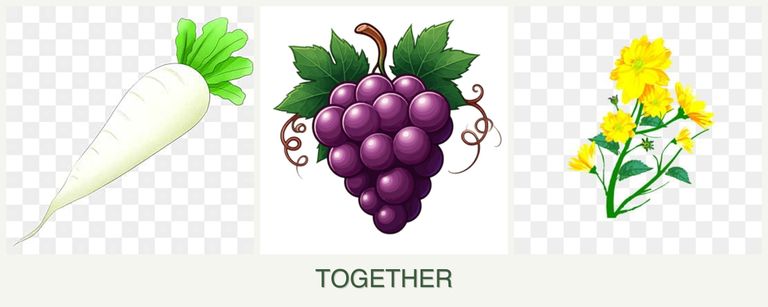 Can you plant radishes, grapes and calendula together?