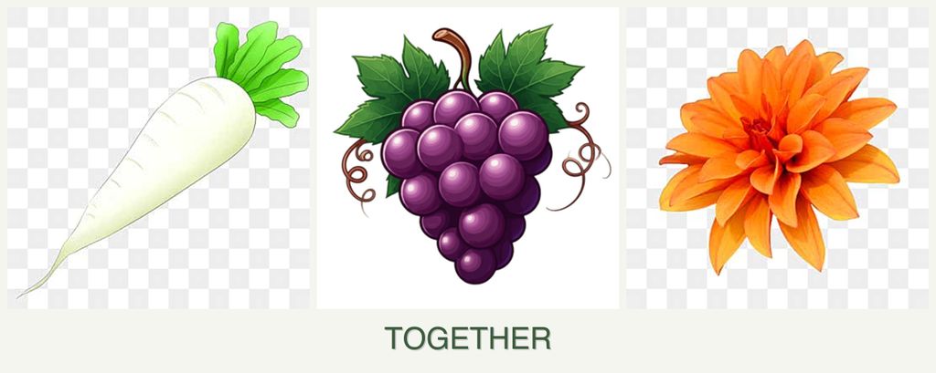 Can you plant radishes, grapes and dahlias together?
