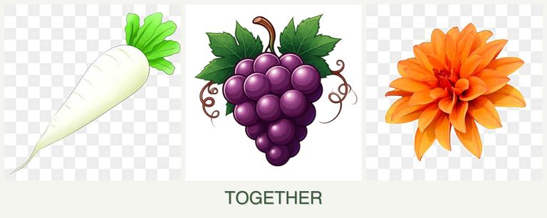 Can you plant radishes, grapes and dahlias together?
