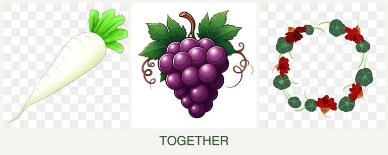 Can you plant radishes, grapes and nasturtiums together?