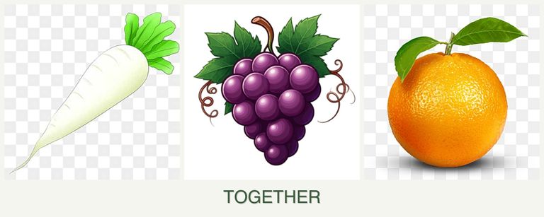 Can you plant radishes, grapes and oranges together?
