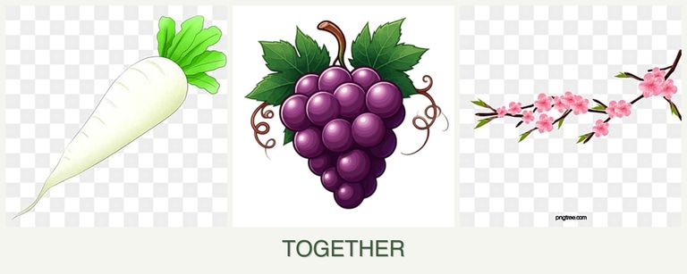 Can you plant radishes, grapes and peaches together?
