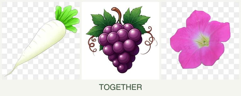 Can you plant radishes, grapes and petunias together?