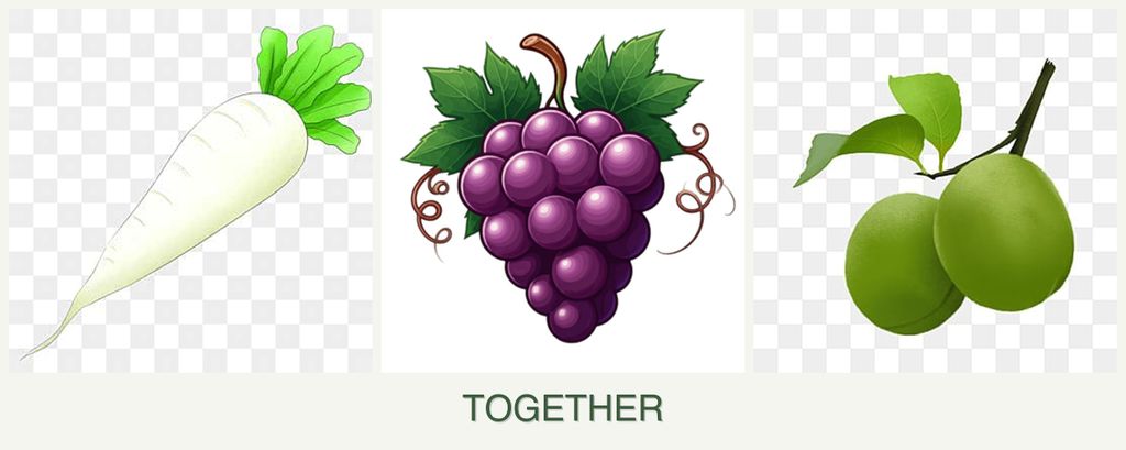 Can you plant radishes, grapes and plums together?