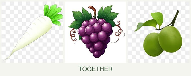 Can you plant radishes, grapes and plums together?