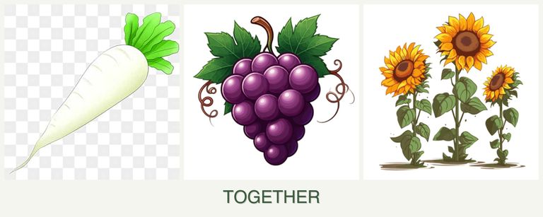 Can you plant radishes, grapes and sunflowers together?