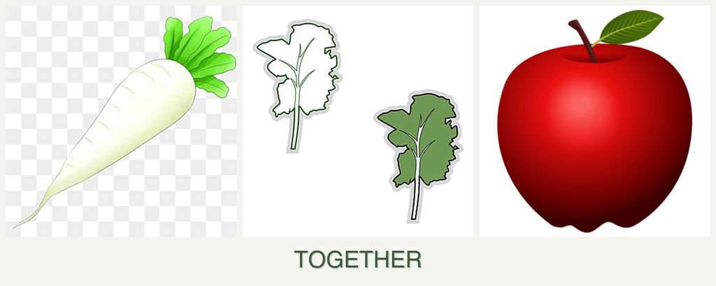 Can you plant radishes, kale and apples together?