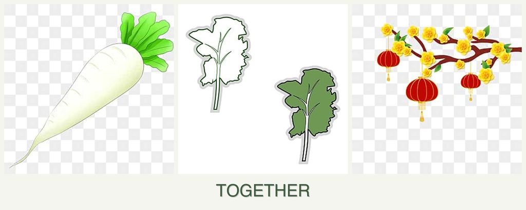 Can you plant radishes, kale and apricots together?