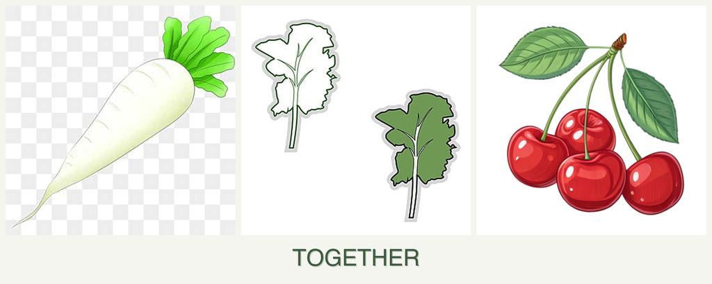 Can you plant radishes, kale and cherries together?
