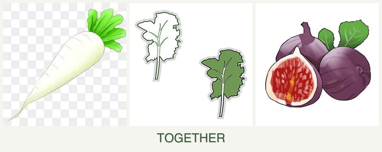 Can you plant radishes, kale and figs together?