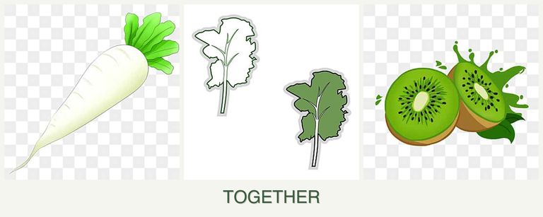 Can you plant radishes, kale and kiwi together?