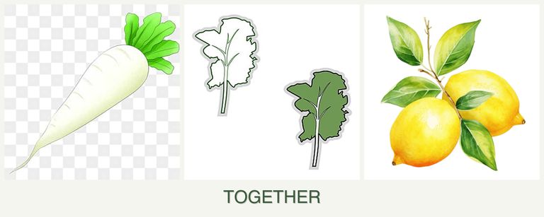 Can you plant radishes, kale and lemons together?