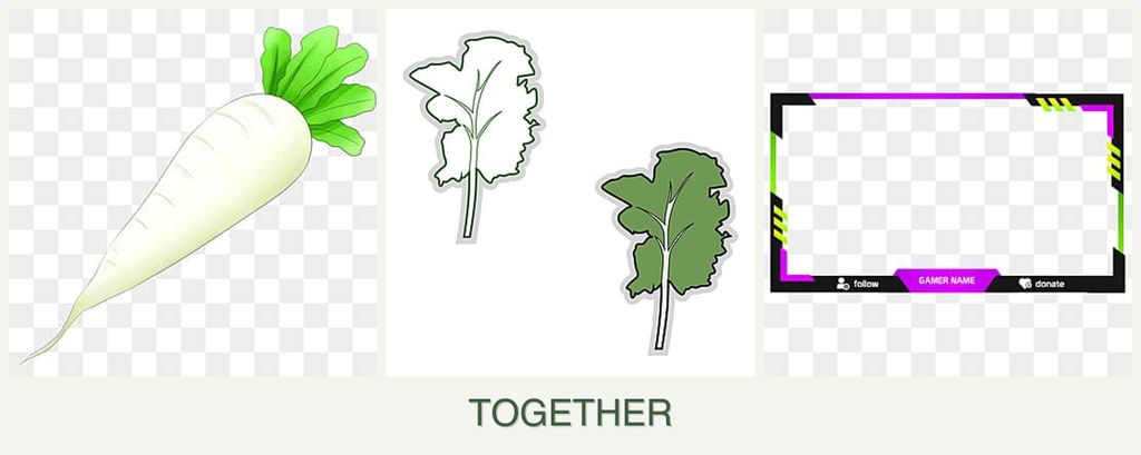 Can you plant radishes, kale and limes together?