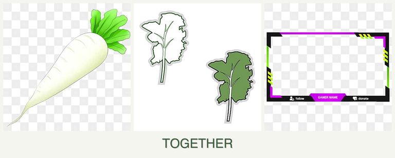 Can you plant radishes, kale and limes together?