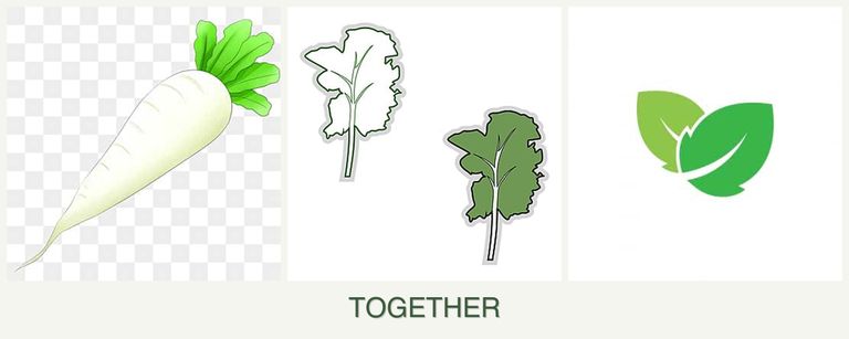 Can you plant radishes, kale and mint together?