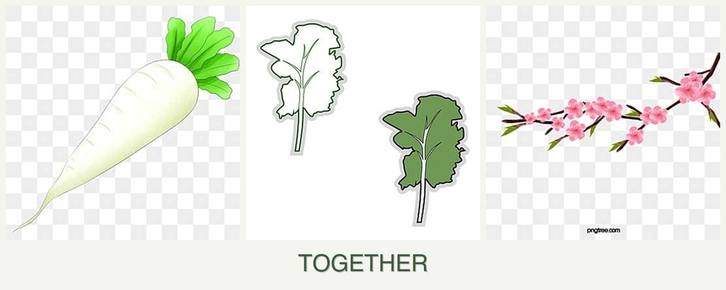 Can you plant radishes, kale and peaches together?