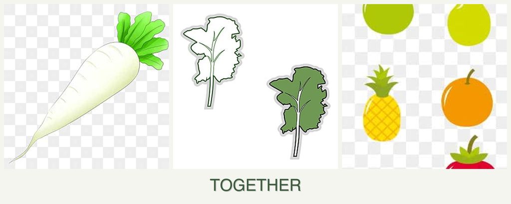 Can you plant radishes, kale and pears together?