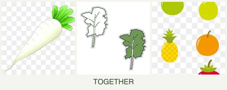 Can you plant radishes, kale and pears together?