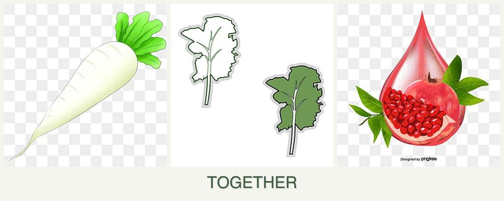 Can you plant radishes, kale and pomegranates together?