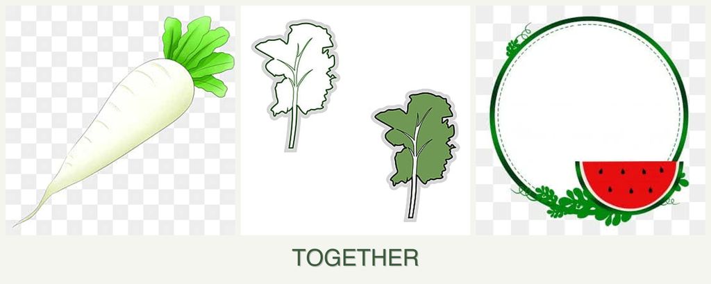 Can you plant radishes, kale and watermelons together?