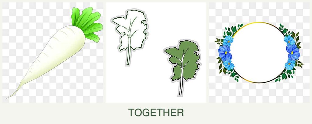 Can you plant radishes, kale and zinnias together?