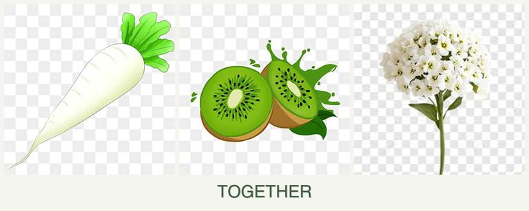 Can you plant radishes, kiwi and alyssum together?