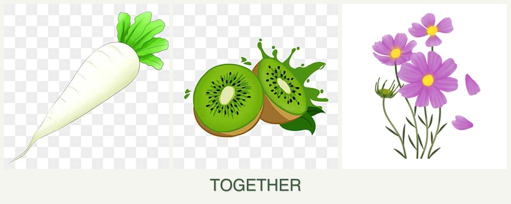 Can you plant radishes, kiwi and cosmos together?