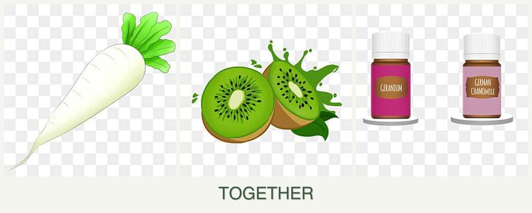 Can you plant radishes, kiwi and geraniums together?