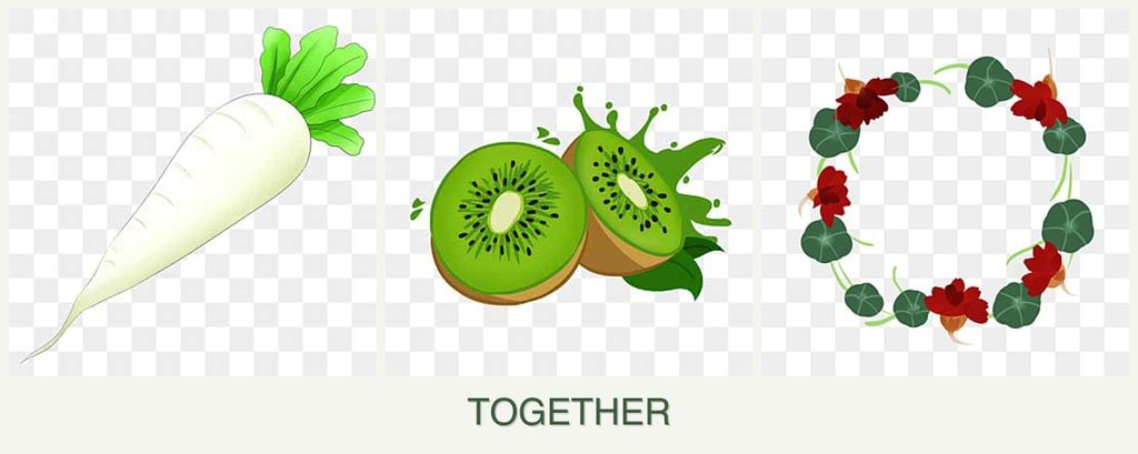 Can you plant radishes, kiwi and nasturtiums together?