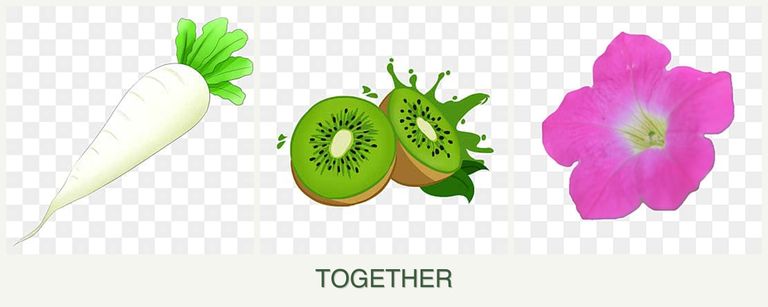 Can you plant radishes, kiwi and petunias together?