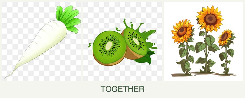 Can you plant radishes, kiwi and sunflowers together?