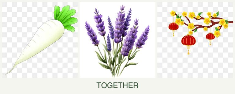 Can you plant radishes, lavender and apricots together?