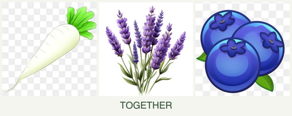Can you plant radishes, lavender and blueberries together?