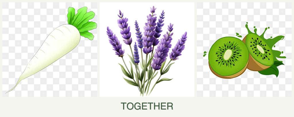 Can you plant radishes, lavender and kiwi together?