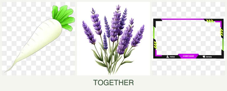 Can you plant radishes, lavender and limes together?