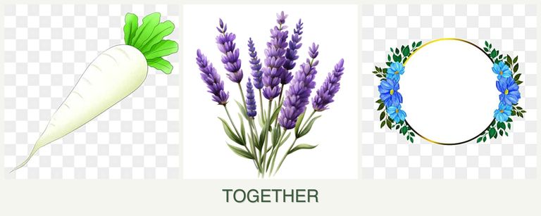 Can you plant radishes, lavender and zinnias together?