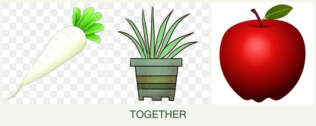 Can you plant radishes, lemongrass and apples together?