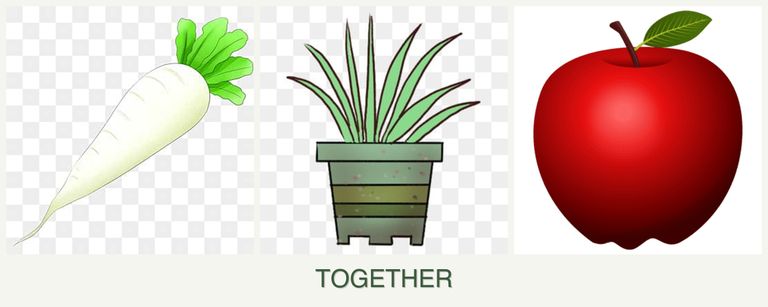 Can you plant radishes, lemongrass and apples together?