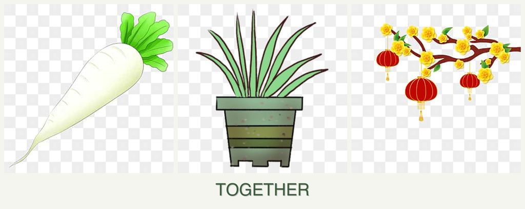 Can you plant radishes, lemongrass and apricots together?
