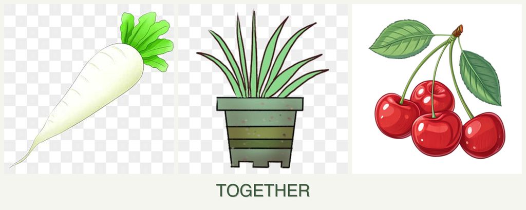 Can you plant radishes, lemongrass and cherries together?