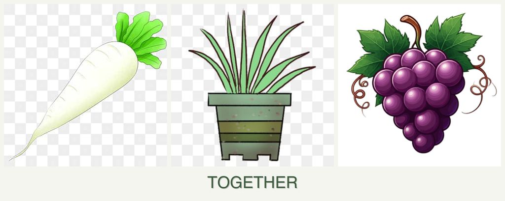 Can you plant radishes, lemongrass and grapes together?