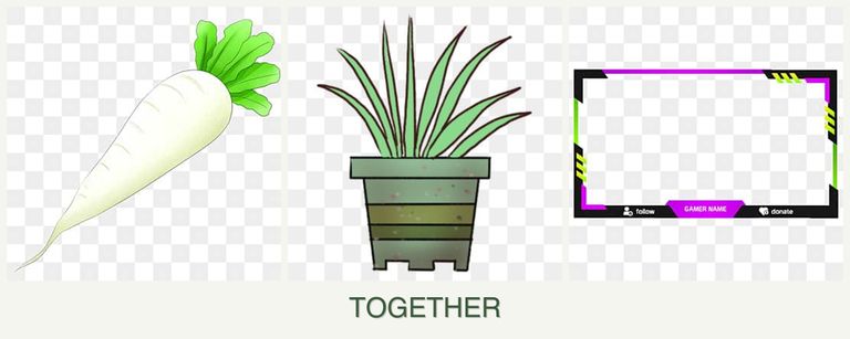 Can you plant radishes, lemongrass and limes together?
