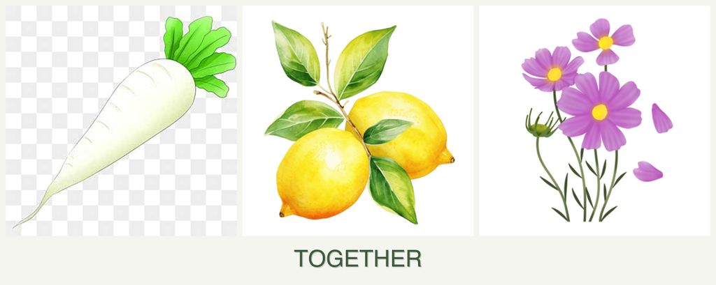 Can you plant radishes, lemons and cosmos together?
