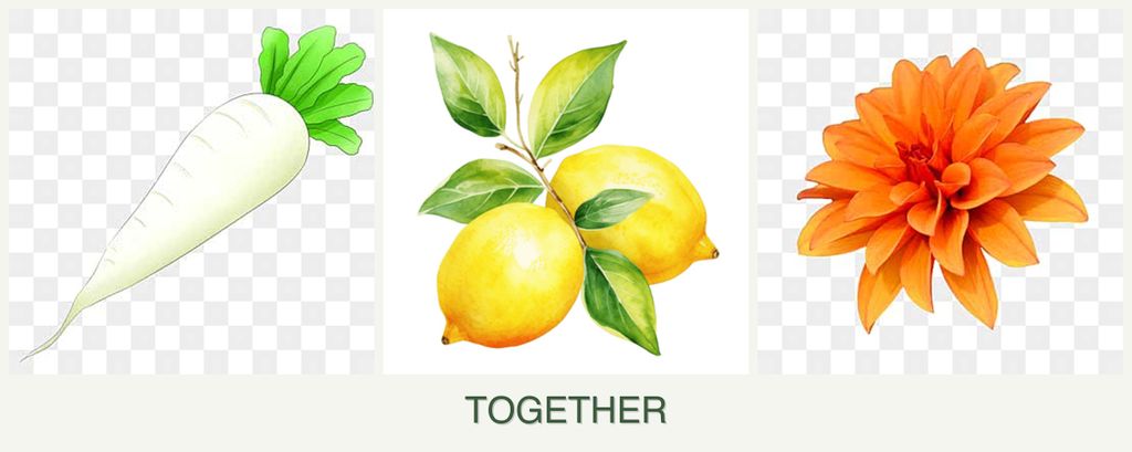 Can you plant radishes, lemons and dahlias together?